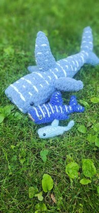 Large(r) Whale Shark - Whitney K - Image 3