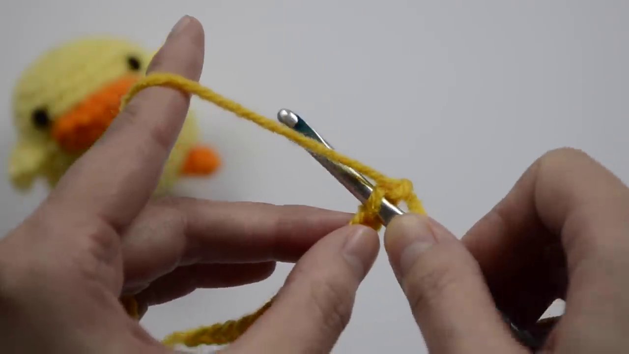 Inserting the hook into the second chain from the hook to begin the first single crochet stitch.