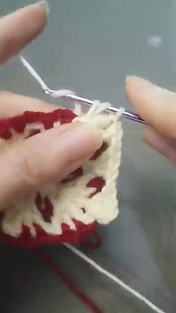Close-up of the frame detail, showing how the single crochet and chain spaces create a lacy border.